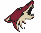 Arizona Coyotes